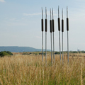 Giant Steel Bullrushes