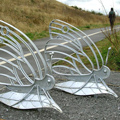 Butterfly Cycleracks