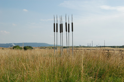 Bullrush Sculptures