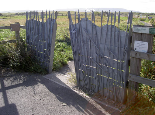 Wetland Vehicle Barriers