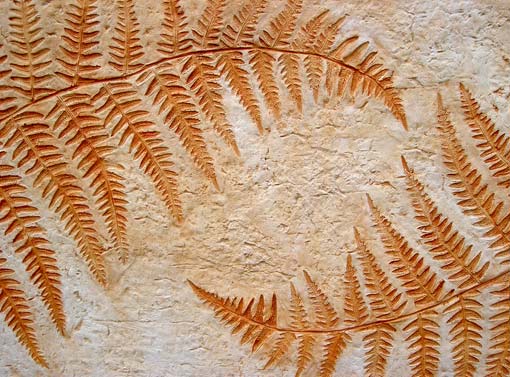 Fern Relief Sculpture