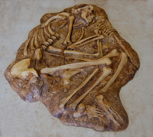 PS Medieval Human Skeleton