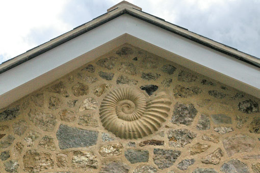 006_PS_Fossil_Wall_Relief_S.jpg