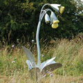 PS_Cowslip.jpg